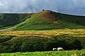 North York Moors