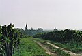 Minfeld vue de l'ouest