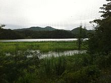 A lake in Yangpyeong.jpg