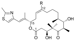 Epotilonas C (R = H) e D (R = Me)