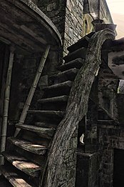 A flight of steps, Las Pozas, Xilitla, 2012