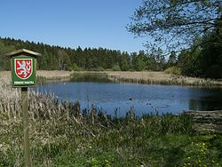 Pohled na rybník Boukal od přístupové cesty nedaleko hájenky