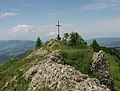 Nagelfluhgestein am Gipfel des Hochhädrich; der Blick richtet sich nach Westen