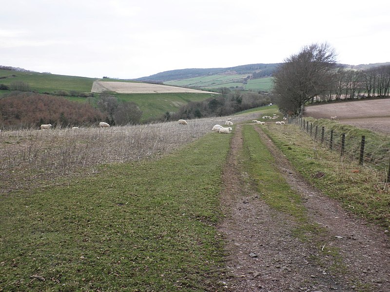 File:Track on Kennisham Hill - geograph.org.uk - 3890002.jpg