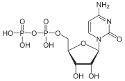 Cytidíndifosfát