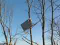 A door wrapped around a tree following the same tornado.