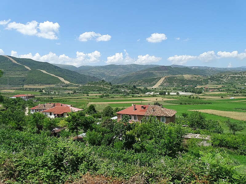 File:Scenery from Bus en Route from Berat to Corovoda - Albania - 04 (42486226252).jpg