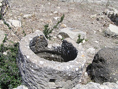 Grinder ring - Volubilis