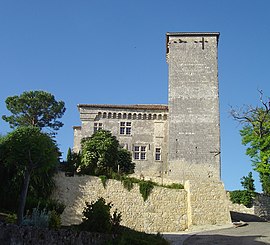 Château de Plieux