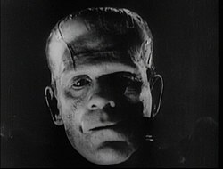 Boris Karloff Frankensteinin hirviönä elokuvassa Frankensteinin morsian.