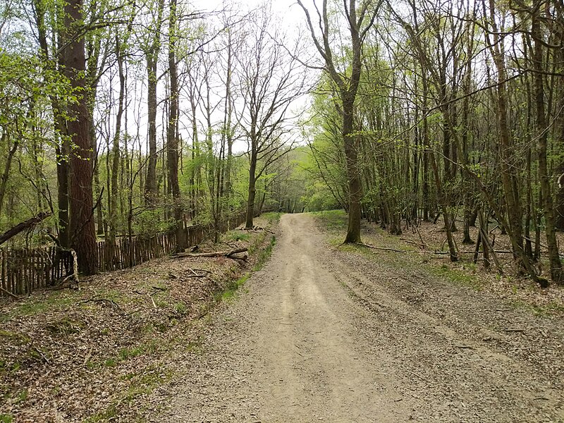 File:Bridleway to Parish Lane - geograph.org.uk - 6131700.jpg