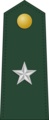 Brigadier general (Philippine Army)[42]