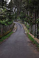 Carretera de Yercaud