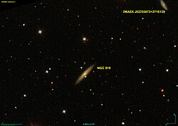 NGC 919