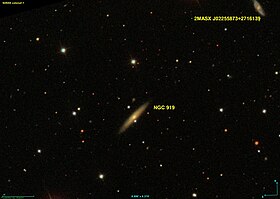 Image illustrative de l’article NGC 919