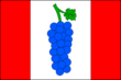 Vlag