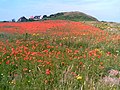 Beeston Hill