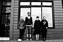 Little Dragon во время фотосессии у северного побережья Сан-Франциско.