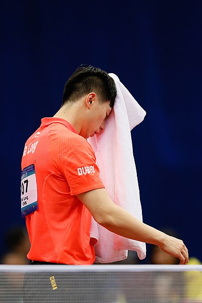 File:Ma Long ATTC2017 137.jpeg