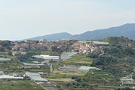 Poggio (Sanremo)-P1010130.JPG