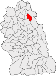 Location in Hunedoara County