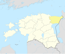 Jõhvi (Eesti)