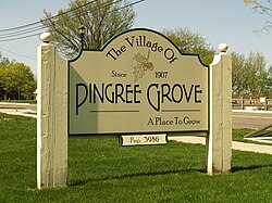 Pingree Grove, Ilinwa