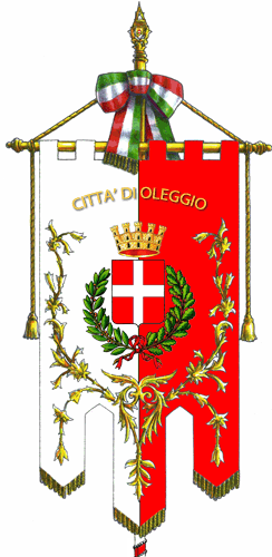 File:Oleggio-Gonfalone.png