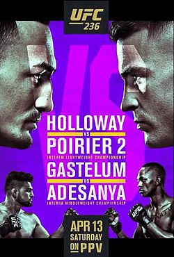 Постер UFC 236: Холловэй - Порье 2