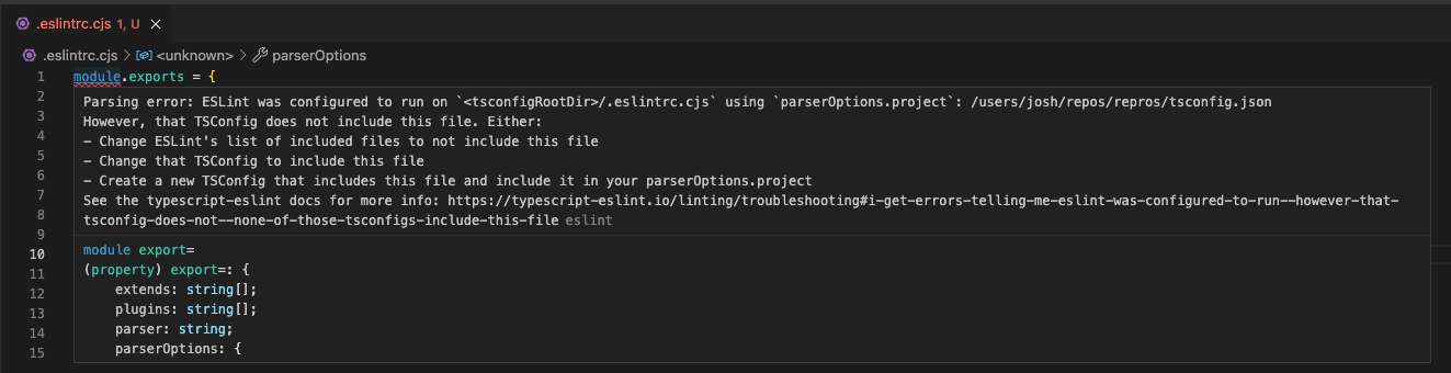 Screenshot of the previous lint error in VS Code