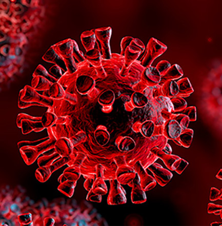 image of Covid virus