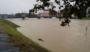 Otwarto polder Oława-Lipki. Policja wzywa do natychmiastowej ewakuacji