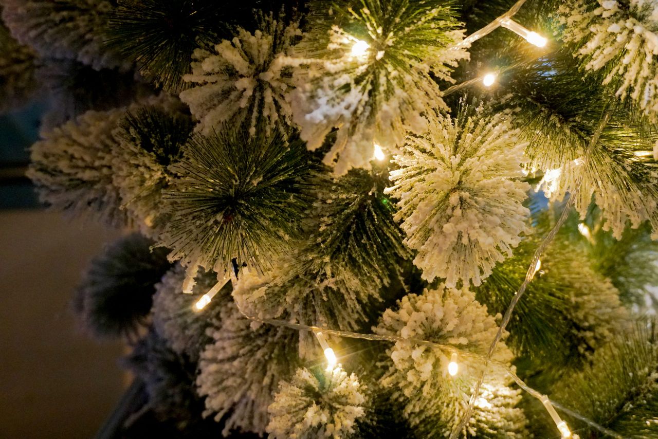 Decorated Christmas tree in the night.