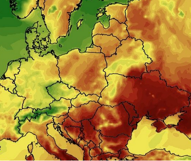 Fatalne prognozy na długi weekend. Każdy dzień taki sam