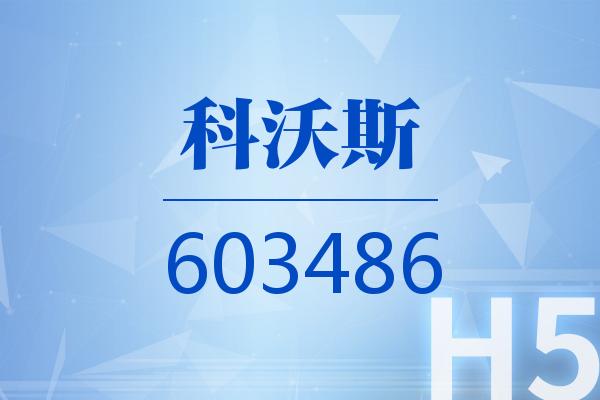 H5｜科沃斯2024可视化半年报