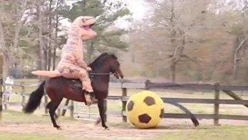 Динозавр в седле Динозавр в седле