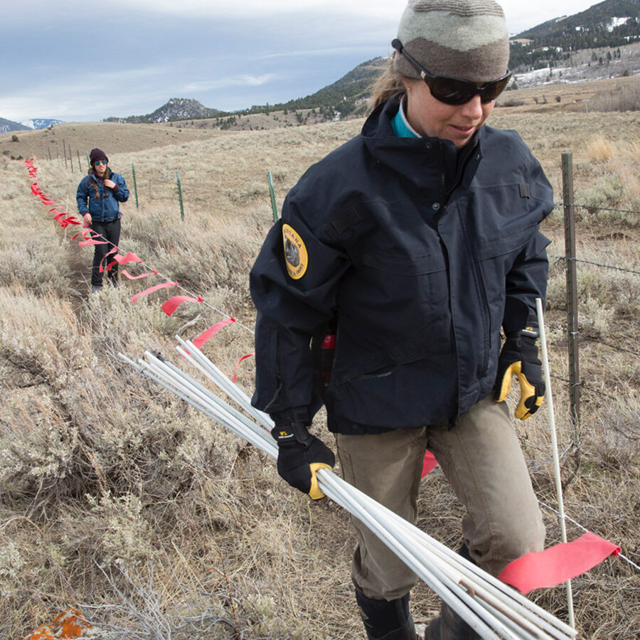 Montana's Bangtail Divide - Abby Nelson