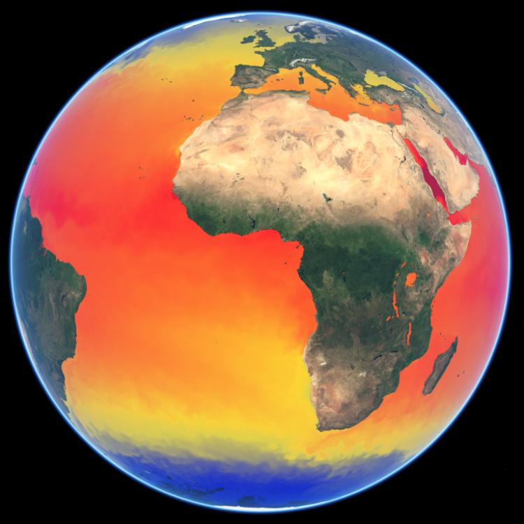 Sea Surface Temperature