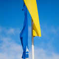 Blue and yellow flags.