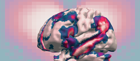 The brain in love: the image shows brain areas that activate in association with the most intensely felt forms of interpersonal 