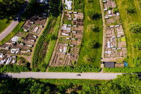 Campus urban gardening plots