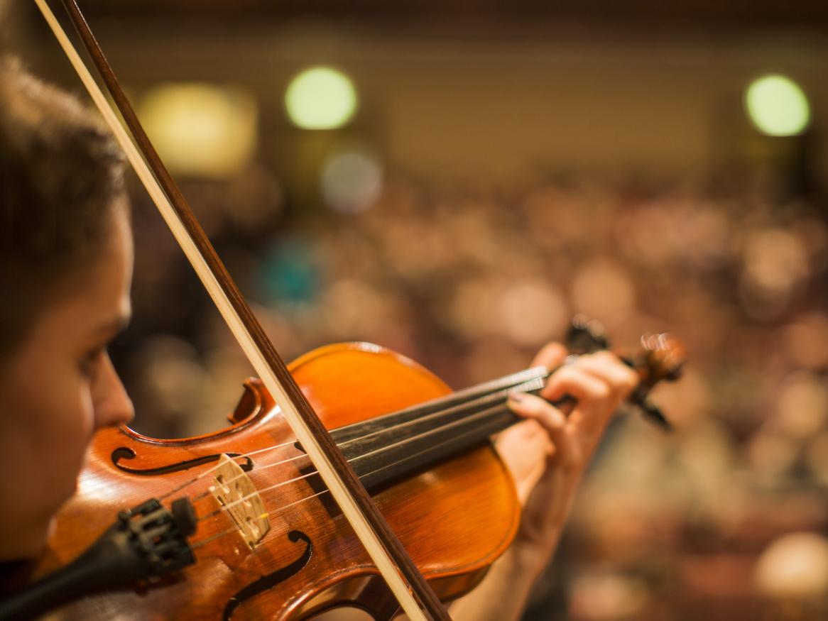 Violinist performing 