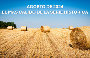 Agosto de 2024, el más cálido de la serie