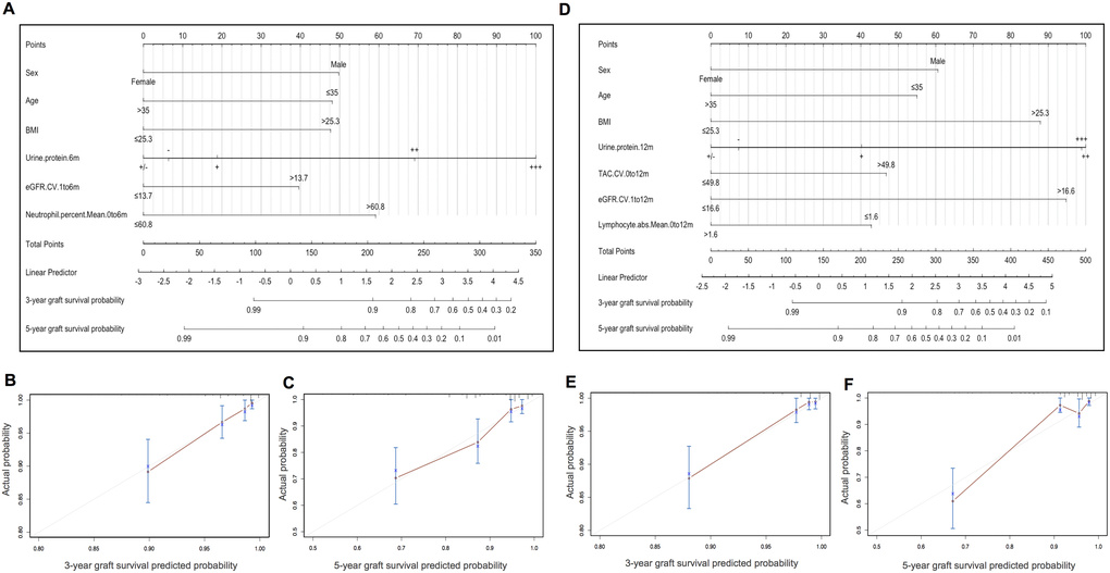 Nomograms and calibration curves of model 1 (clinical variables + months 0-6 lab-derived variables) and model 2 (clinical variables + months 0-12 lab-derived variables) for predicting 3- and 5-year graft survival in the training cohort. (A) Nomogram for model 1. (B–C). Calibration curves of the model 1 nomogram for 3- and 5-year graft survival. (D) Nomogram for model 2. (E–F) Calibration curves of the model 2 nomogram for 3- and 5-year graft survival.