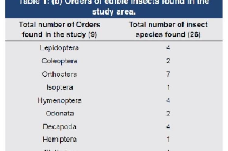 Orders of edible insects found in the study area