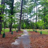 Trees Columbus received a $900,000 grant earlier this year to plant 500 trees between now and 2028 in overburdened and under-served parks that haven’t experienced tree restoration and proper tree planting in over 60 years. (Photo Courtesy of Kala Hunter)