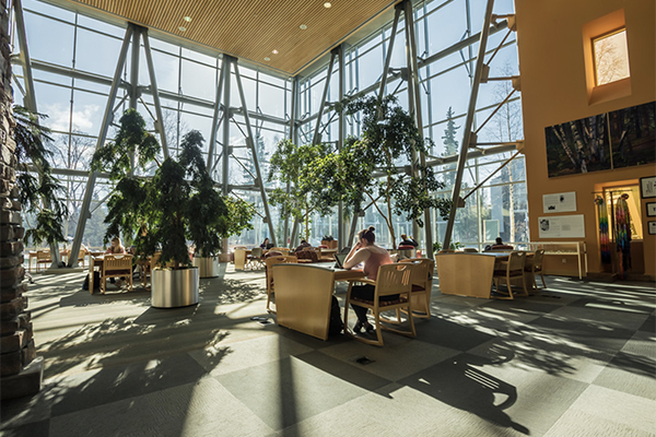 Students work at desks near a bank of windows in the UAA Consortium Library