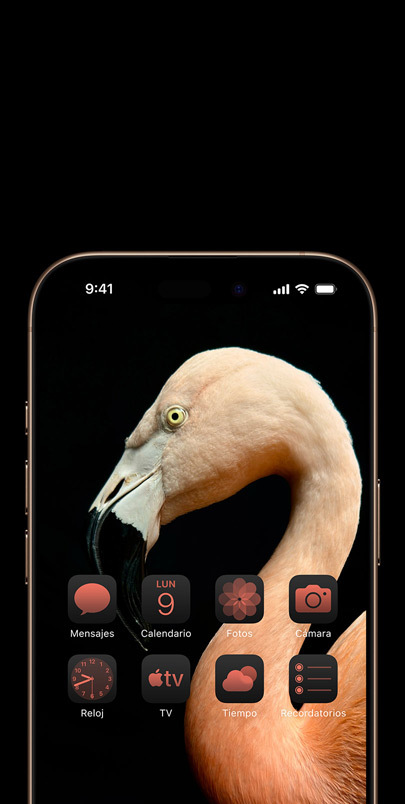 Un iPhone 16 que muestra la foto dinámica de un flamenco rosa de perfil y widgets en un color a juego.