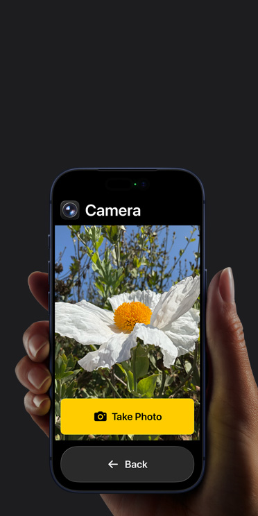 iPhone 17 Pro screen showing simplified Camera app interface with a white flower in the frame, “Take Photo” button and “Back button below