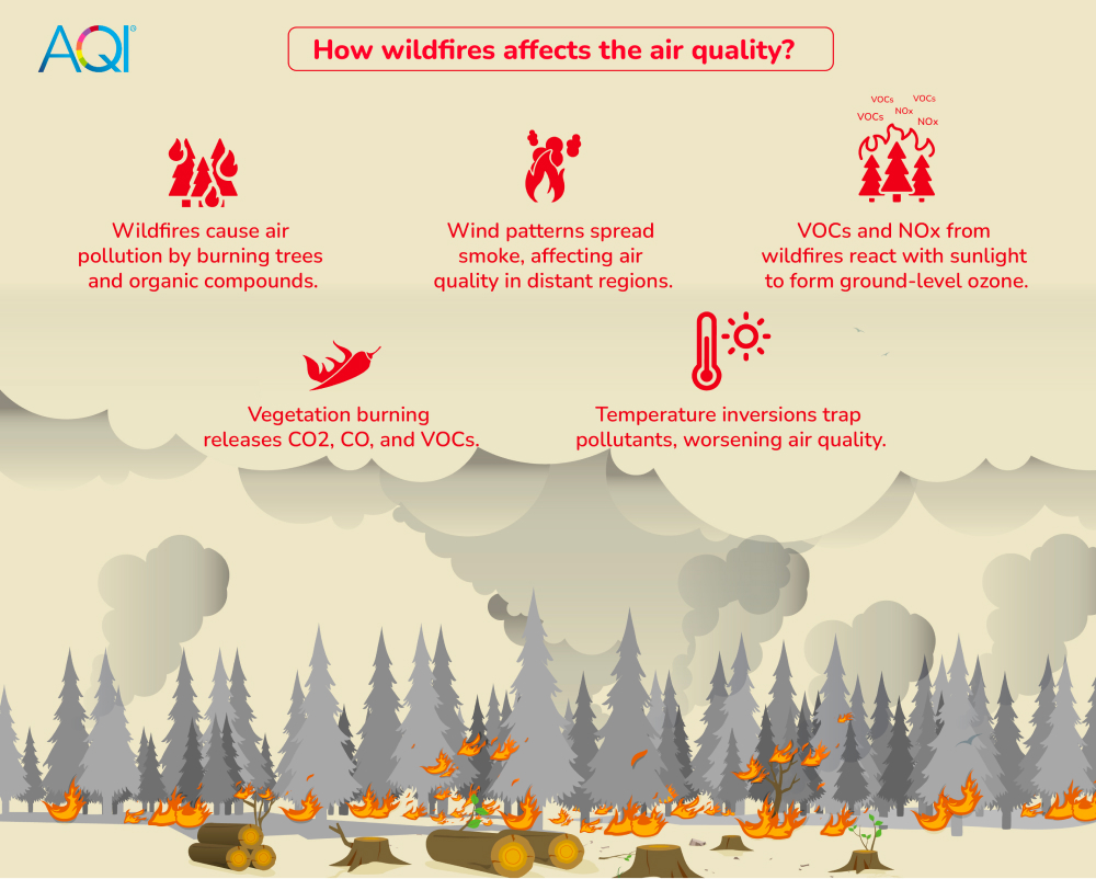 How-wildfires-affect-air-quality